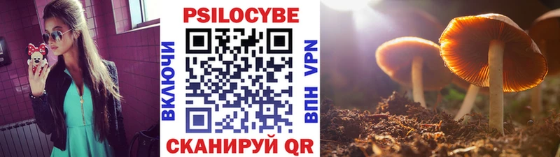 Галлюциногенные грибы прущие грибы  купить наркотики цена  Коркино 